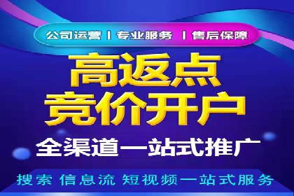 SEM服务公司经典案例集锦